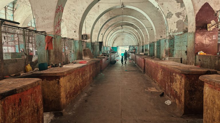 Aden Fish Market